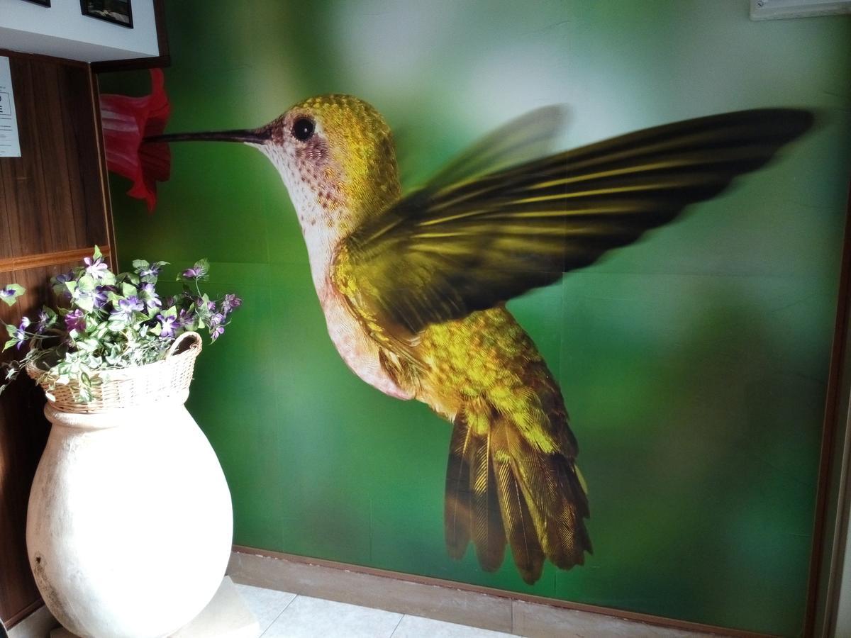 Residence Colibri Family & Bike Loano Zewnętrze zdjęcie